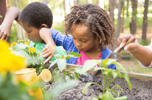 community centre activities SEND EDventures