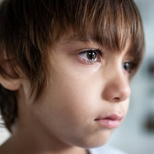 Understanding Behaviour